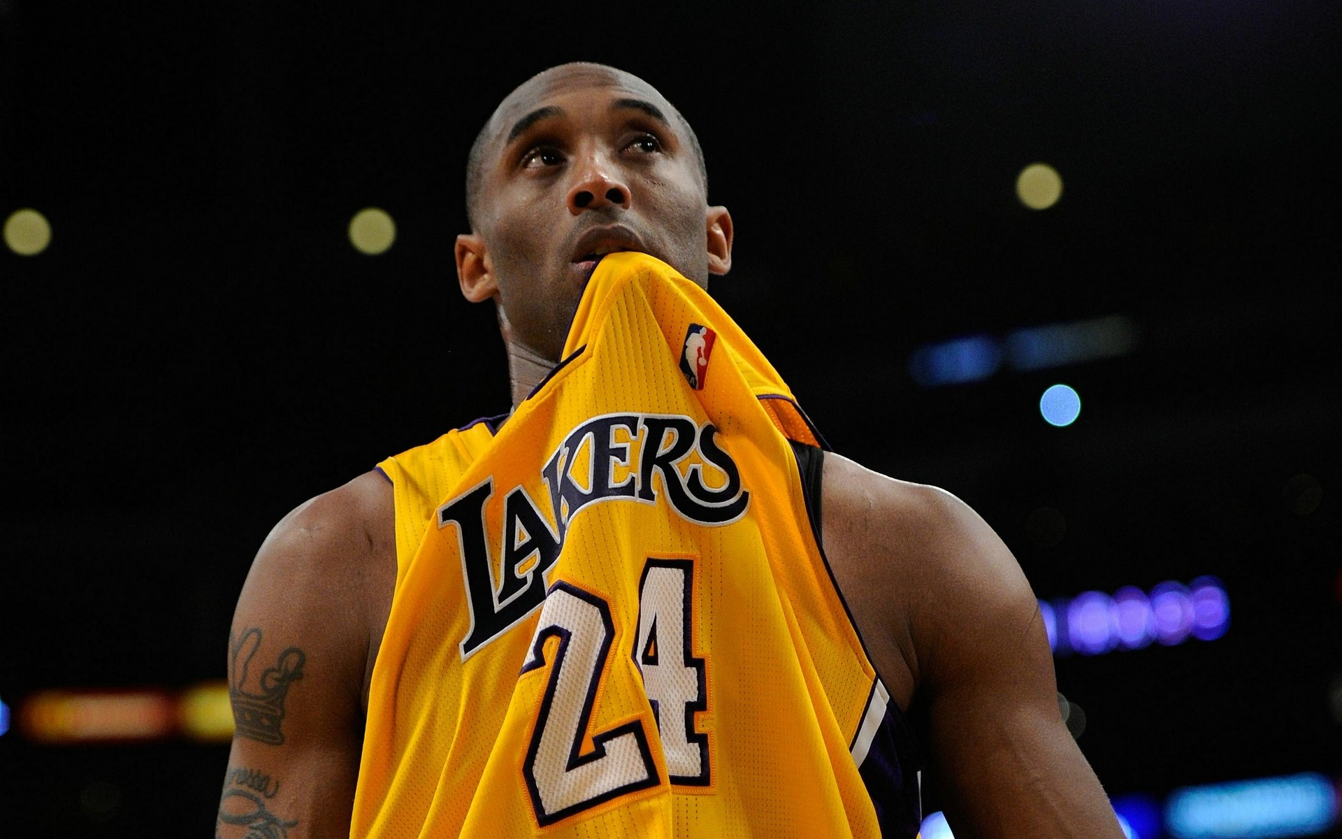 奥尔佳环保材料宣传册设计欣赏-东莞品牌设计